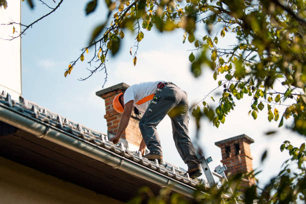 Best Shingle Roofing Installation  in Hales Corners, WI