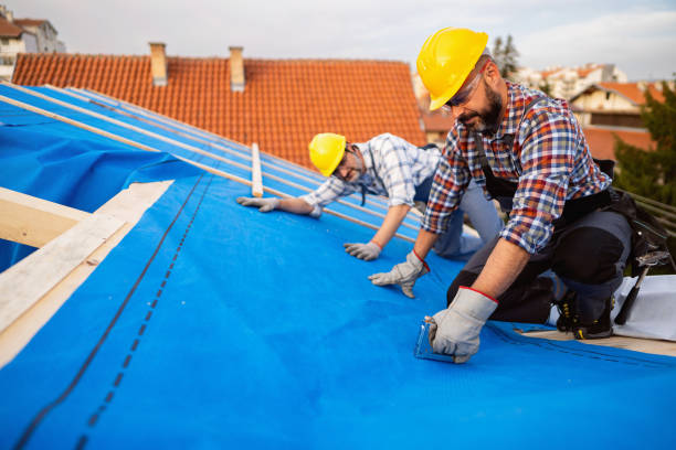 Best Roof Waterproofing Services  in Hales Corners, WI